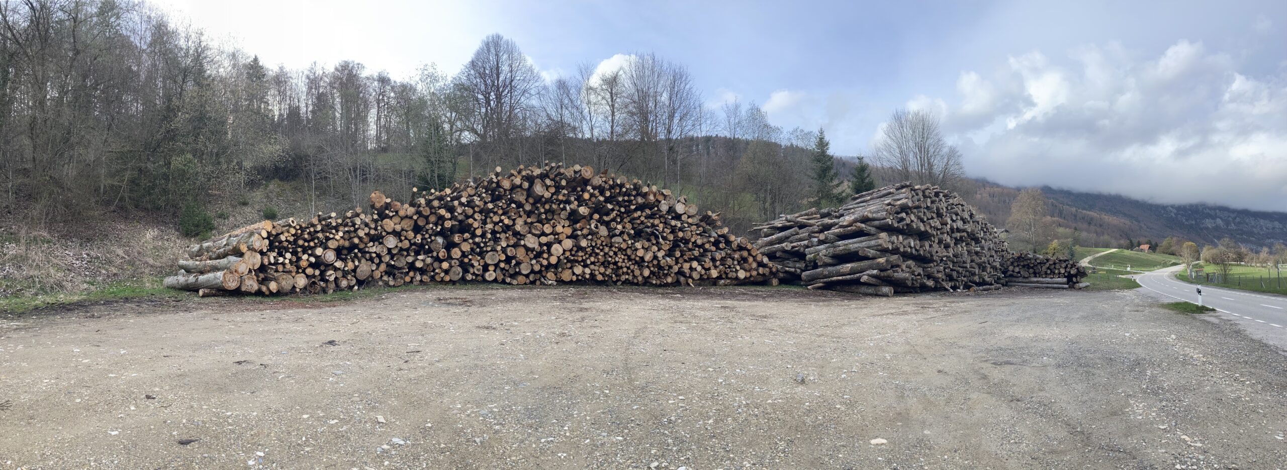 All diese ganzen Stämme, meist aus altem, im Jura geschlagenem Buchenholz, wurden 2023 zu Brennholz gespalten oder verschnitzelt.